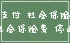 广西2019注销公司需要补交社保吗