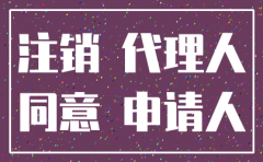 武汉注销分公司指定代表委托书格式