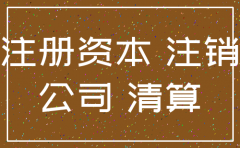 公司注销 外债
