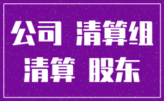 对注销的公司 可以直接追加其股东