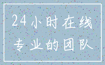 24小时在线_专业的团队