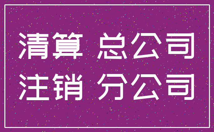 清算 总公司_注销 分公司