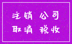 河北廊坊公司注销流程及费用