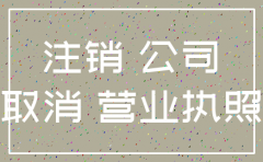合肥九万里医药公司注销