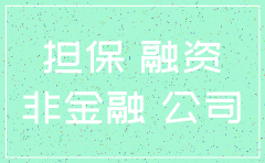 非融资性担保公司注销业务怎么办
