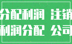 分公司注销 账面利润如何处理