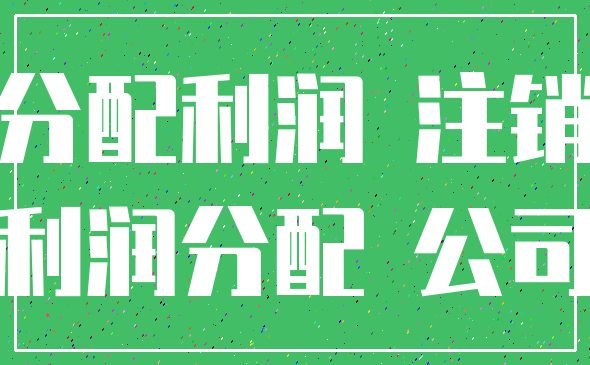 分配利润 注销_利润分配 公司