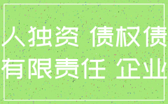 一人有限公司注销后的债务