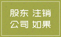 法人可以不通过股东注销公司吗