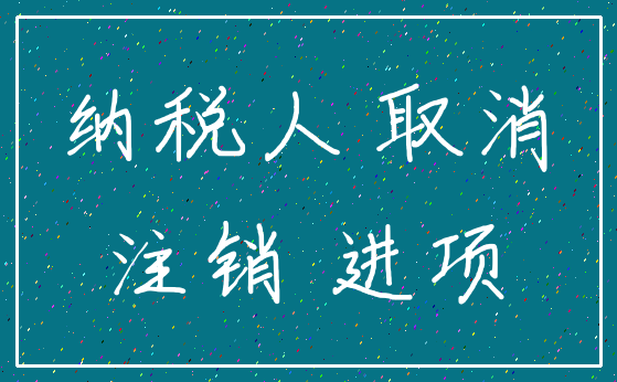 纳税人 取消_注销 进项