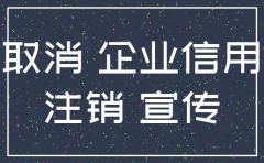 简易注销公司结果公示在哪里查询