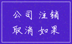 账丢了怎么注销公司