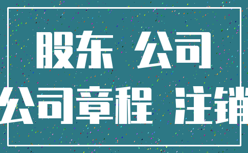 股东 公司_公司章程 注销