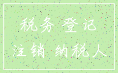 简易注销公司流程税盘