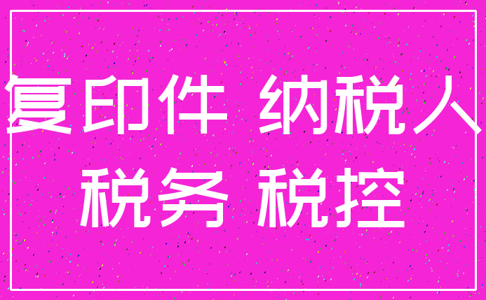 复印件 纳税人_税务 税控