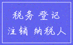 注销公司税局看什么资料