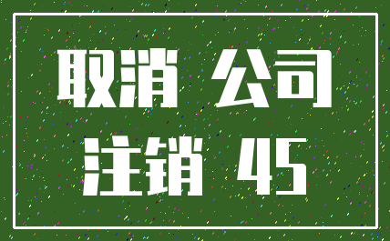 取消 公司_注销 45