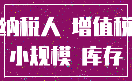纳税人 增值税_小规模 库存