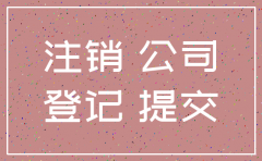 广州注销公司政策