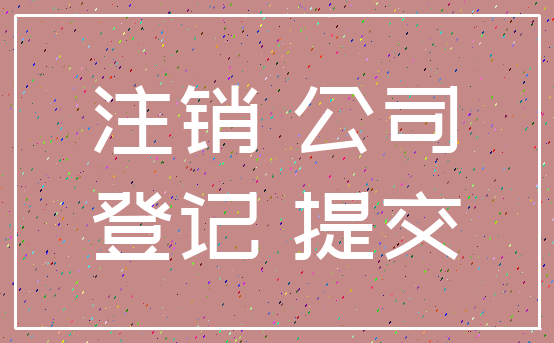 注销 公司_登记 提交
