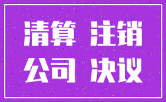 分公司股东会决议注销