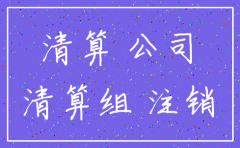 注销未经营公司清算报告