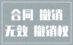 公司注销了合同无效