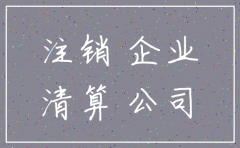 公司注销诉讼案