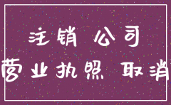 注销公司是否成功怎么查