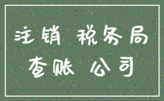 公司注销税局查多少年的数据