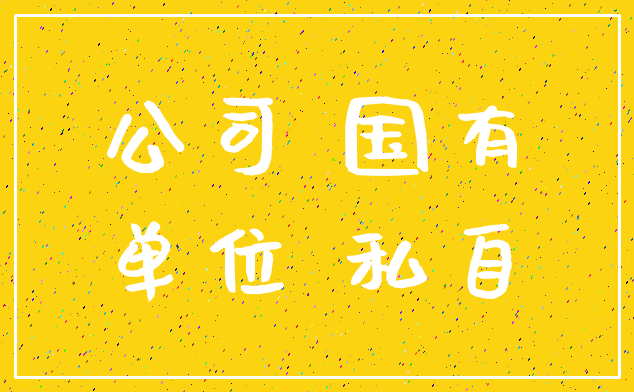 公司 国有_单位 私自