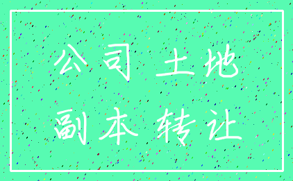 公司 土地_副本 转让