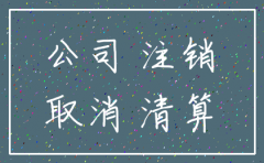 公司注销应在哪个部门办理