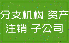 子公司注销后的实收资本怎么处理