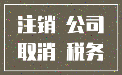 注销公司没有身份证可以吗