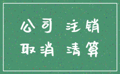 没有经营过的公司被吊销后怎么注销