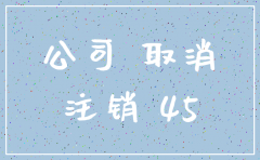 零申报公司注销个人征信