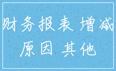 公司注销财务状况说明书