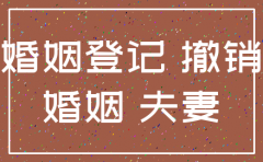 离婚时公司注销了怎么办理