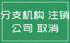 分注销公司
