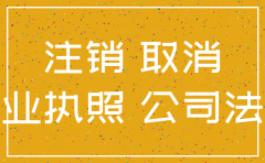一个公司注销了可以起诉吗