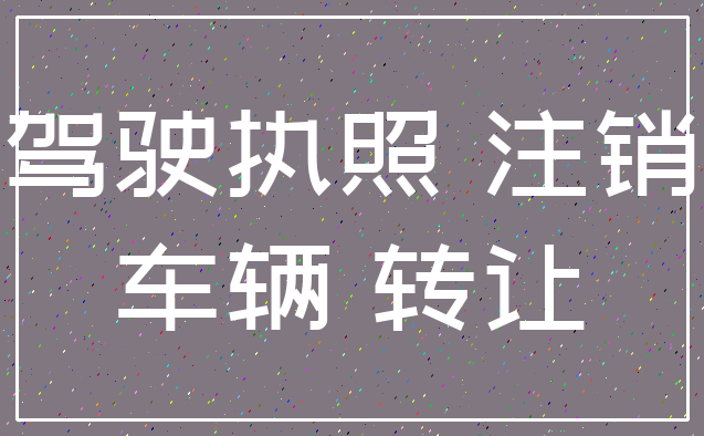 驾驶执照 注销_车辆 转让