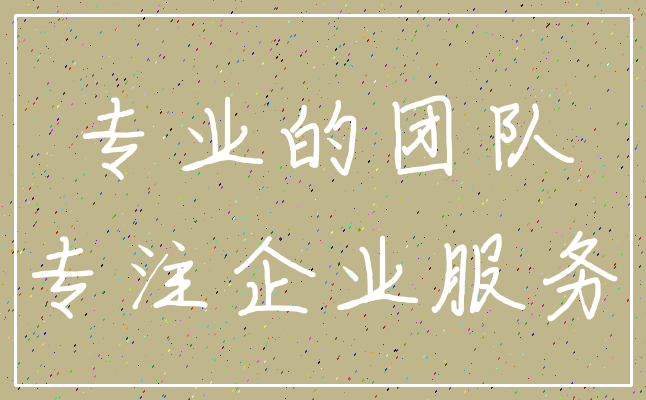 专业的团队_专注企业服务