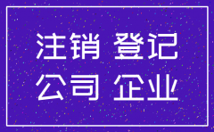 简易注销公司全体投资人如何签字