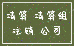 公司投资后清算注销