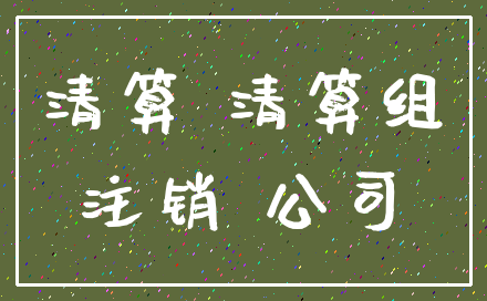 清算 清算组_注销 公司