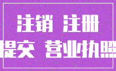 淮南市分公司注销登记申请书