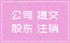 一人有限公司股东决定注销