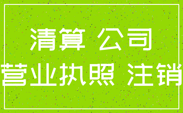 清算 公司_营业执照 注销