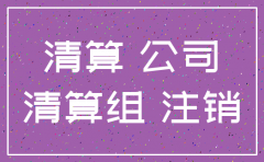 西双版纳注销公司流程